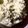 クックRUUPJF☆'s cooksnap of when they made 戻して入れて炊くだけ！簡単ワカメご飯♪.