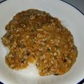 ジョジョアンナ's cooksnap of when they made 挽肉と玉ねぎで♪中華風あんかけ丼.