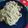 さかいみゆ's cooksnap of when they made パクチー豆乳レモンクリームパスタ.
