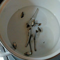 クックBNQ5PD☆'s cooksnap of when they made あごだしのとり方.