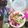 Dream♪'s cooksnap of when they made キュウリの醤油麹和え.