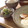 shibatama's cooksnap of when they made アスパラガスとごぼうと豚肉の塩きんぴら.