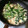 べにあ's cooksnap of when they made ニラと卵の簡単【煮】.
