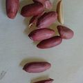 介の姫's cooksnap of when they made 簡単 落花生のむき方.