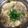 大阪のちゃーちゃん's cooksnap of when they made もやしと卵の中華スープ.