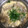 大阪のちゃーちゃん's cooksnap of when they made もやしと卵の中華スープ.