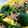 retsu33's cooksnap of when they made 卵とほうれん草の炒め物.