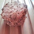 よん妻's cooksnap of when they made おからのザクザククッキー.