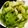 あまね's cooksnap of when they made きゅうりとセロリの浅漬け★.