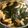 山下製麺's cooksnap of when they made 春の味覚、若竹煮！.
