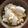  しー's cooksnap of when they made 蓮の実おこわ.