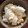  しー's cooksnap of when they made 蓮の実おこわ.