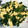 ひこさぶろう's cooksnap of when they made 簡単！ほうれん草の卵とじ！.
