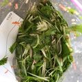 料理嫌いママ☆'s cooksnap of when they made 簡単☆水菜とハムのナムル.