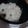 ふぁんたにゃん's cooksnap of when they made ①塩えんどう豆ご飯♪♪.