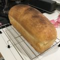 クック5N8MIQ☆'s cooksnap of when they made 手ごね☆米粉入りミニ食パン.