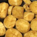 クックDM45FA☆'s cooksnap of when they made 簡単、絶品山芋ステーキにんにく醤油味♬.