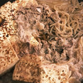 きくたん's cooksnap of when they made おかわり続出★我が家のすき焼き風肉豆腐.