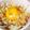 momocookin's cooksnap of when they made 新たまオニオンスライス.