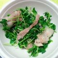 やっぺ841's cooksnap of when they made 豆苗の肉巻き（もやし）レンジ蒸し.