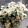 クックDG0JX5☆'s cooksnap of when they made 簡単！基本の白和え衣　ミニトマトの白和え.