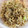 はらべこあおむし's cooksnap of when they made 簡単！しらすと実山椒の佃煮.