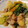 バニモン's cooksnap of when they made 豚肉と青梗菜のエスニック炒め.