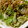 ポール・レノン's cooksnap of when they made わさび香る♪納豆焼きそば.