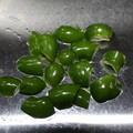 るりか　's cooksnap of when they made 捨てずに使おう！(ピーマン、人参編).