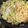 クックPBVV7D☆'s cooksnap of when they made 基本のペペロンチーノ.