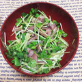 さくらん餅's cooksnap of when they made 速攻おつまみ☆貝割れ大根といかの塩辛和え.
