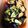 m1kar1n5's cooksnap of when they made ひんやり！なすの揚げ浸し.