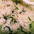 （＊あωや＊）'s cooksnap of when they made 生にらと胡麻の混ぜご飯.