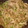 ゆさかはたみの's cooksnap of when they made 超簡単ご飯が進む!牛肉とネギ炒め中華風♪.