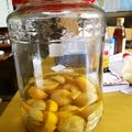ja9imz's cooksnap of when they made 無農薬柚子☆の丸ごと果実酒.