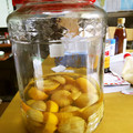 ja9imz's cooksnap of when they made 無農薬柚子☆の丸ごと果実酒.