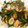 しょこらッテ's cooksnap of when they made ❀ほうれん草とあさりのバター炒め❀.
