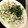 ボボモン's cooksnap of when they made きゅうりとムネ肉のゆかりマヨ♪.