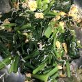 クックHYG4LD☆'s cooksnap of when they made 子供もパクパク♪小松菜とシラスの和え物.