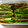 美味しく食べたい☆'s cooksnap of when they made アスパラの煮浸し.