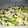 アカリリ's cooksnap of when they made 簡単 キュウリと長芋サラダ♪.