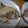 ひなゆずあ2009's cooksnap of when they made かわはぎの煮付け.