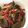 クック3HWKL2☆'s cooksnap of when they made 豚バラとゴボウのコクうま炒め.