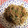 こよりんりん's cooksnap of when they made ご飯が進むシリーズもやしの挽肉炒め.