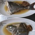 クックるん☆戦隊's cooksnap of when they made お水とお醤油だけ☆シンプル煮魚（イサキ）.