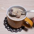 アクセル☆'s cooksnap of when they made ほっこり大福カフェオレ.