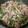 ポニーリボン's cooksnap of when they made 牛肉ともやしのソース炒め.