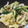 クックGFXD91☆'s cooksnap of when they made 白菜と胡瓜の塩昆布和え.