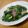 サオリ's cooksnap of when they made ターツァイのカニかまあんかけ.