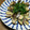 SoMiNemama's cooksnap of when they made あさりのバター酒蒸し.